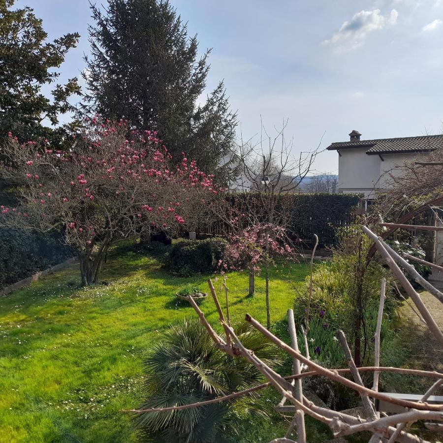 Hotel Il Glicine Sutri Zewnętrze zdjęcie